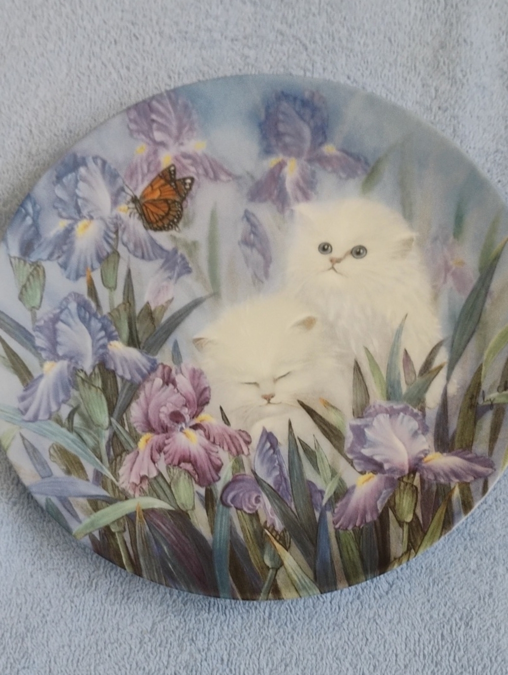 Cat Plates - Picture 5 of 7